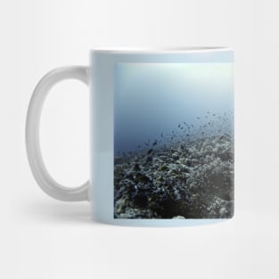 THE CORAL NICHE Mug